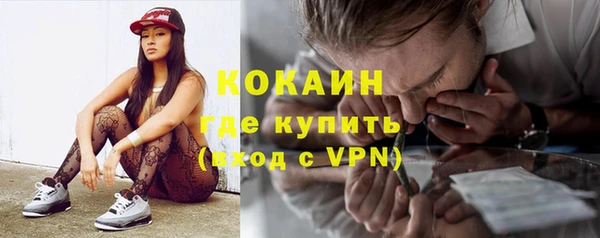 прущие грибы Абаза