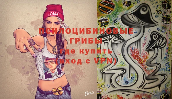 ПСИЛОЦИБИНОВЫЕ ГРИБЫ Алексин